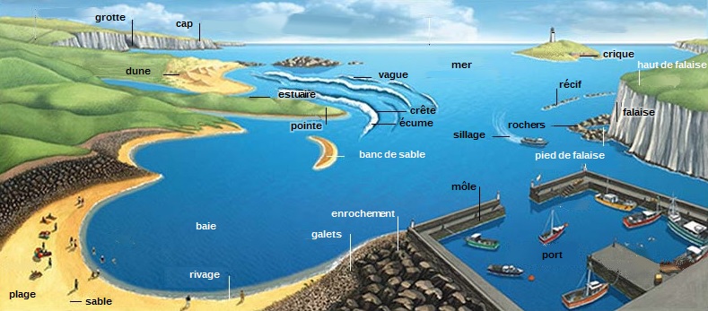 Schéma descriptif du littoral